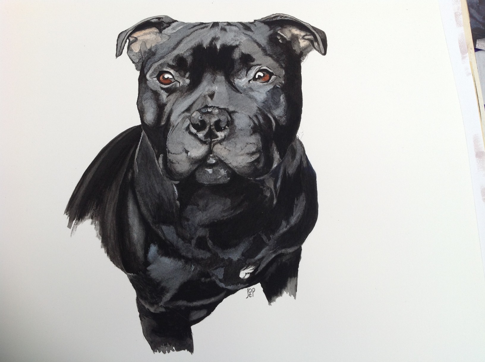 Gevaarlijke vechthond | Machteld Berkelmans, image size:1632x1218