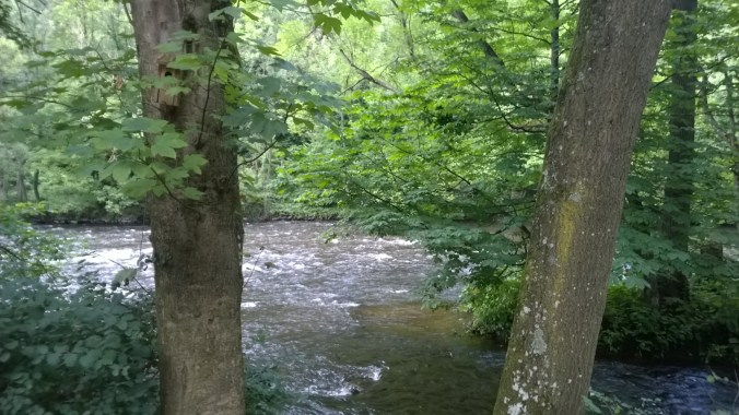 WP_20160808_003 [6568362]